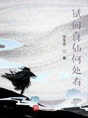 单机游戏供应商