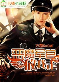 谍报代号我是烛影