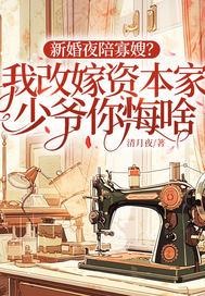 精灵：帕底亚退役冠军的再就业