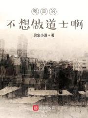 爱上风水师