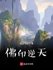 官道波澜