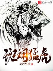 聊天群里的模板之主