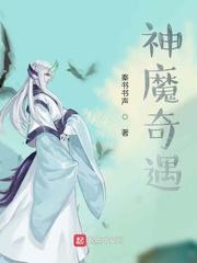 四爷的心尖宠妃叶枣四爷