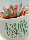九零年代之财运亨通